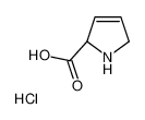 3，4-脱氢-L-脯氨酸盐酸盐