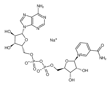 β-烟酰胺腺嘌呤二核苷酸 钠盐