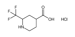2-(三氟甲基)哌啶-4-羧酸盐酸盐