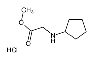 N-环戊基甘氨酸甲酯盐酸盐