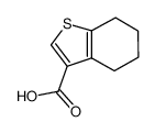 4,5,6,7-四氢苯并[b]噻吩-3-羧酸