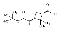 顺式-3-(Boc-氨基)-2,2-二甲基环丁烷羧酸
