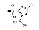 5-氯-3-磺酸噻吩-2-羧酸