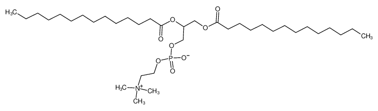 1，2-二肉豆蔻酰-rac-甘油-3-磷酸胆碱