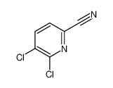 5，6-二氯吡啶腈
