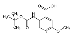 2-甲氧基-5-(Boc-氨基)异烟酸