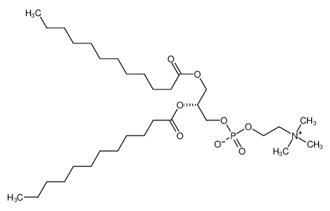 1,2-二十二酰基-sn-glycero-3-胆碱磷酸