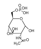 N-乙酰-D-半乳糖胺-6-磷酸