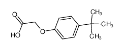 2-(4-(叔丁基)苯氧基)乙酸