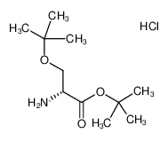 O-(叔丁基)-D-丝氨酸叔丁酯盐酸盐