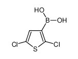(2,5-二氯噻吩-3-基)硼酸