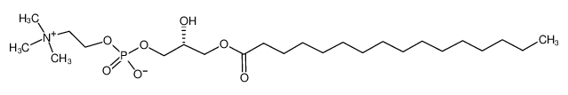 1-十六酰-sn-丙三醇-磷酸胆碱