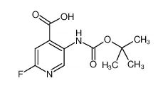 5-((叔丁氧基羰基)氨基)-2-氟异烟酸