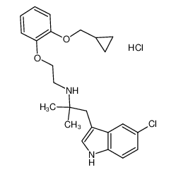 RS 17053 hydrochloride (RS-17053)