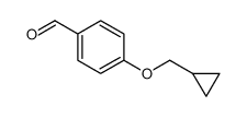 4-(环丙基甲氧基)苯甲醛