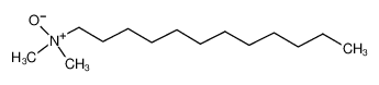 N,N-二甲基十二烷胺-N-氧化物