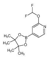 2-(二氟甲氧基)-4-(4,4,5,5-四甲基-1,3,2-二氧硼杂环戊烷-2-基)吡啶