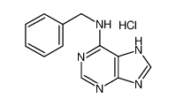 N-苄基-9H-嘌呤-6-胺盐酸盐