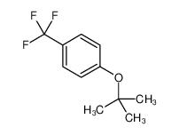 1-(叔丁氧基)-4-(三氟甲基)苯