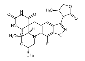 Zoliflodacin