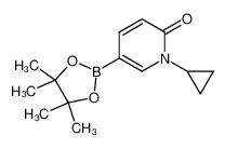 1-环丙基-6-氧代-1,6-二氢吡啶-3-硼酸频哪醇酯